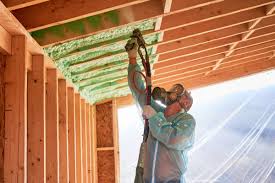 Best Radiant Barrier Insulation  in Horseshoe Bend, AR